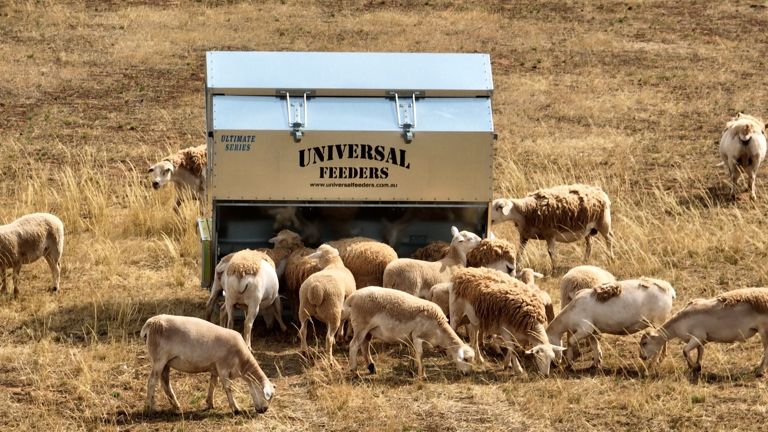 Universal Ultimate Feeder